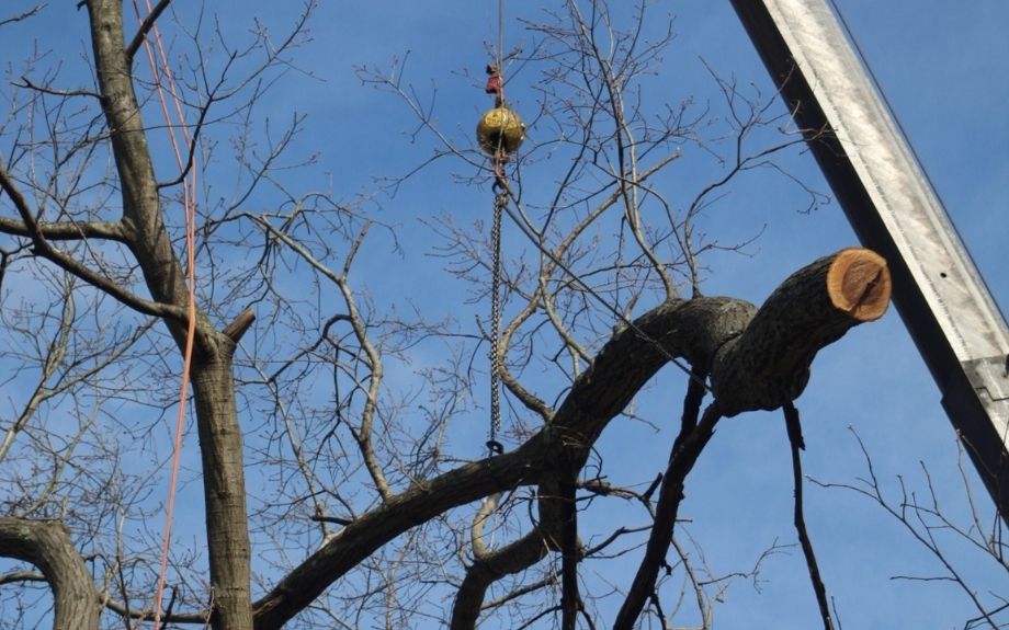 The Riverbend team uses a crane to remove a section of a tree with the assistance of the climber.