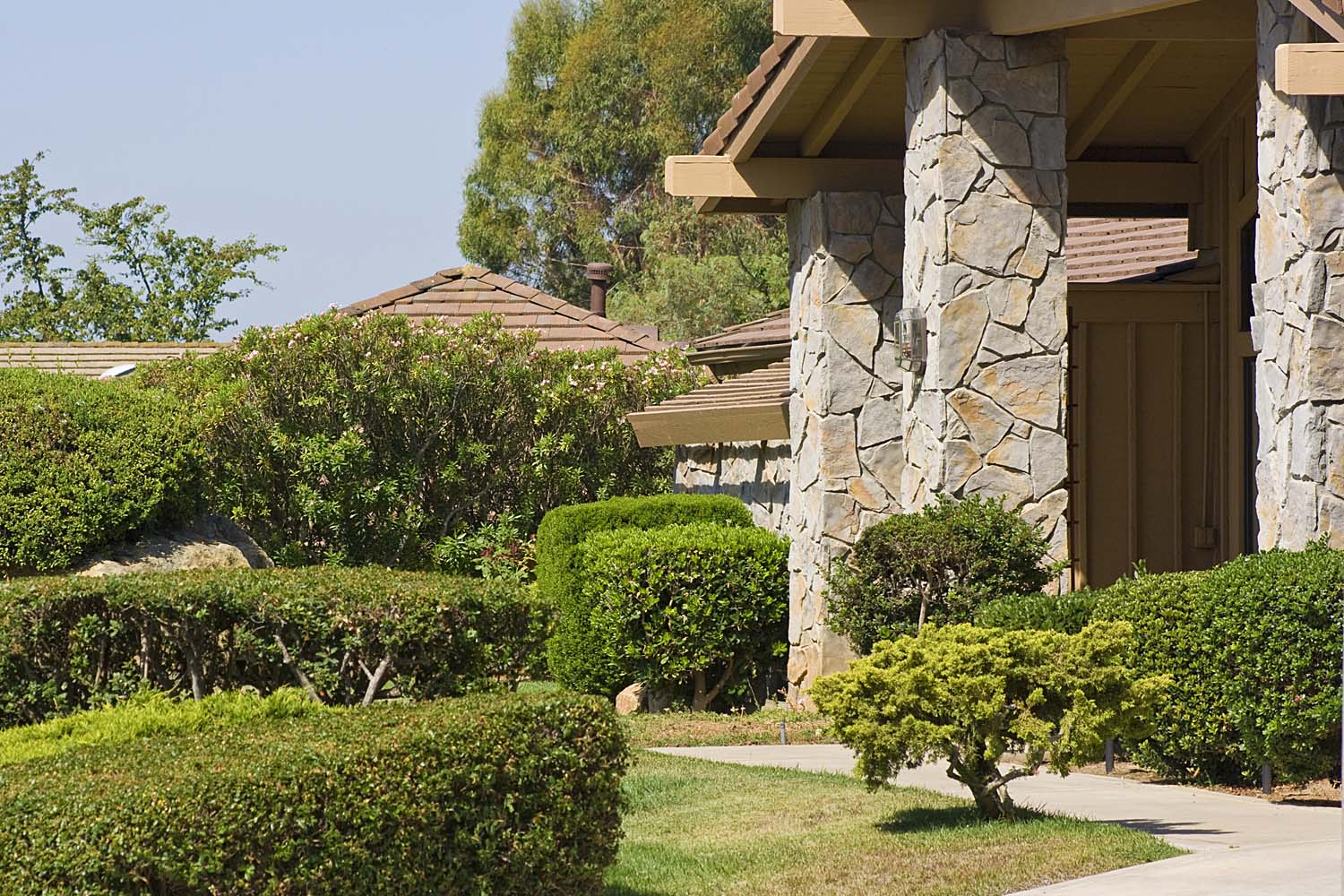 Neatly landscaped front yard of a house.