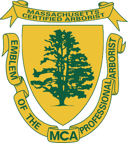 MCA_Certified_Arborist