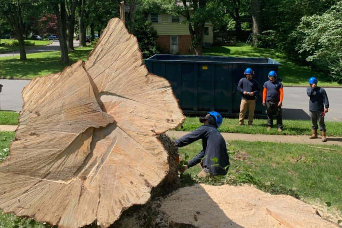 RB-LSP-Dunn-Loring-2