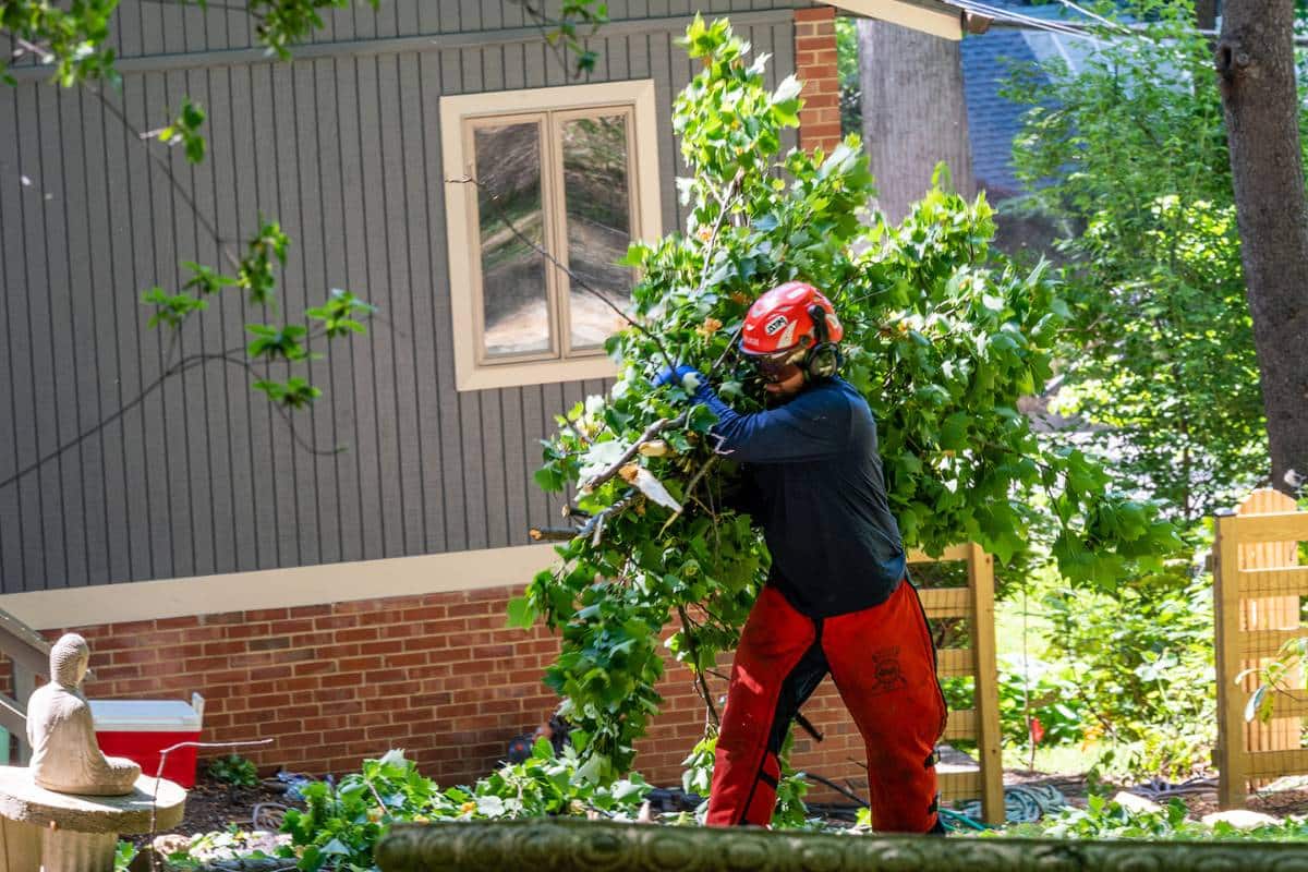 RB-LSP-Dunn-Loring-3