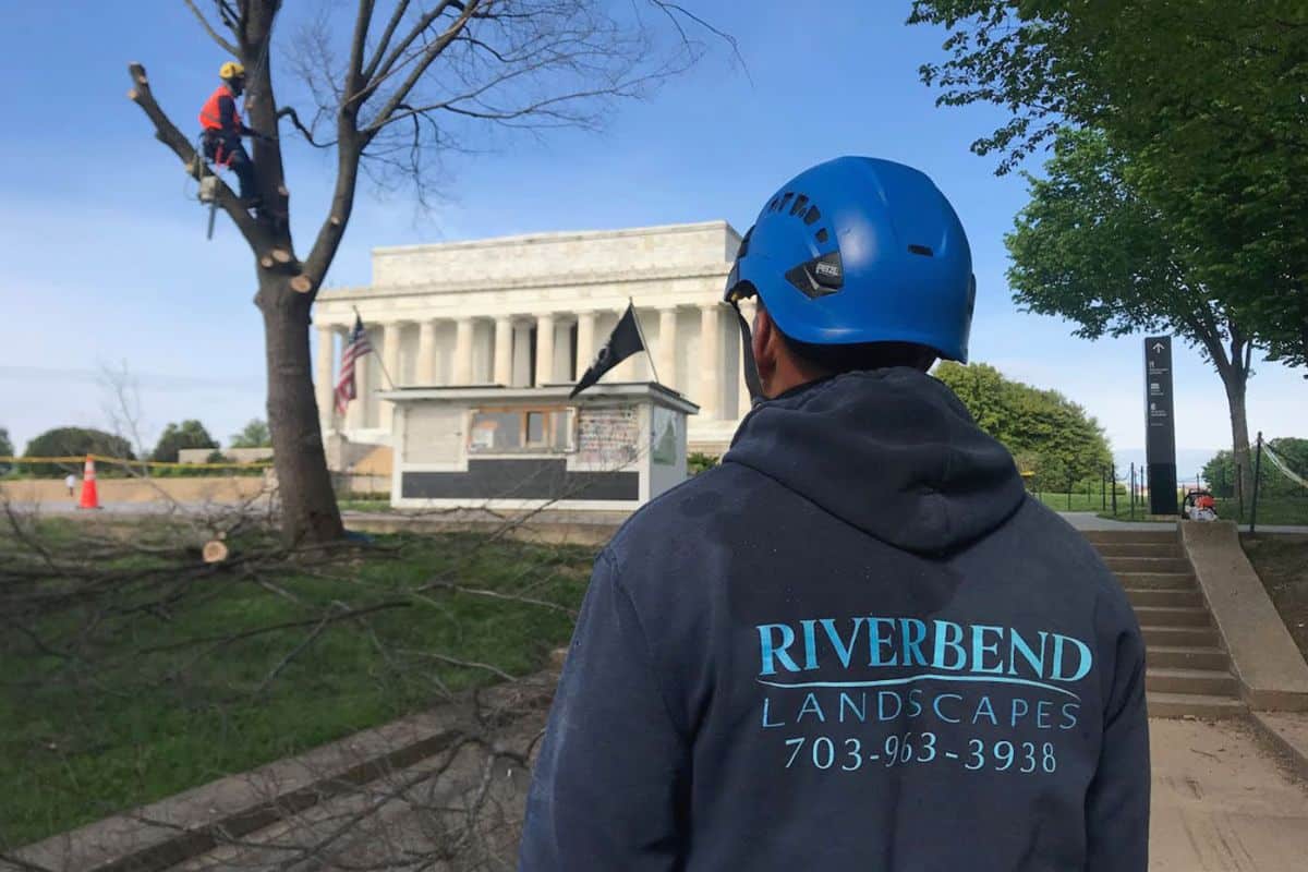 RB-LSP-Image-Arlington-1