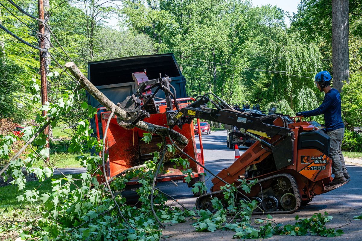 RB-LSP-Image-Arlington-4