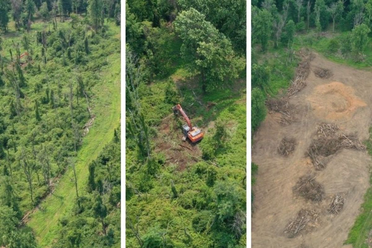 RB-LSP-Image-Arlington-5