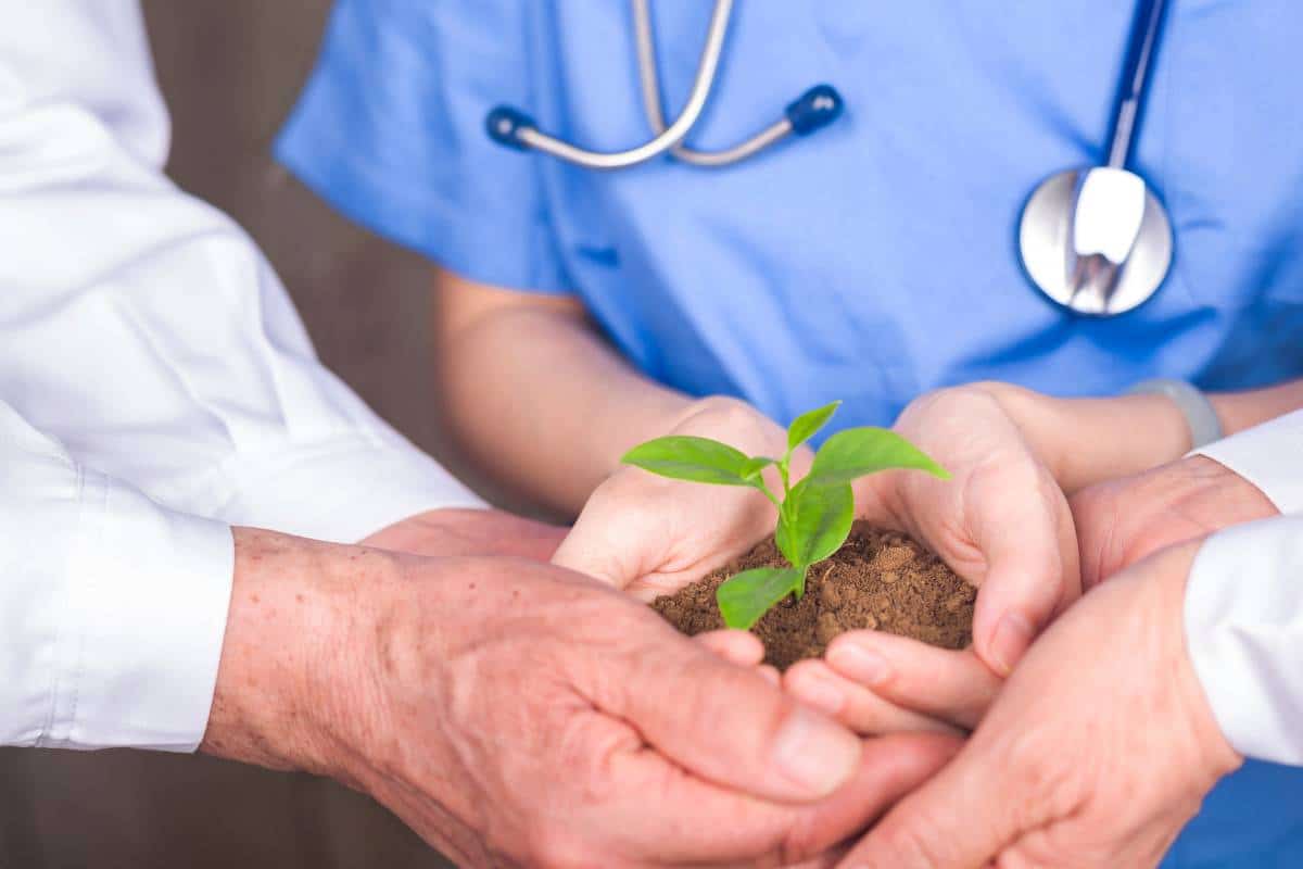 RB-LSP-Image-Herndon-1