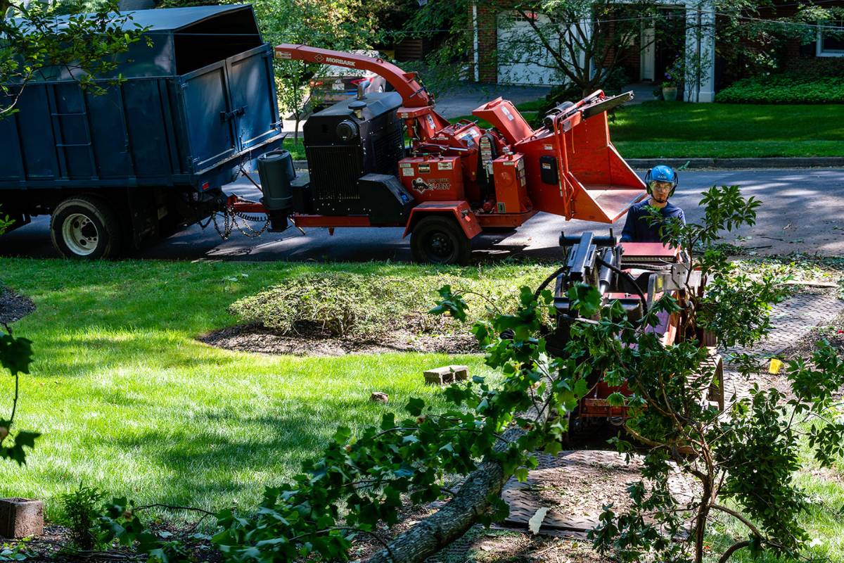 RB-LSP-Image-Herndon-4