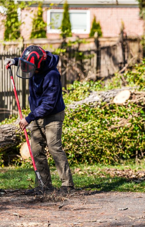 RB-LSP-burke-section-arborist-cleanup