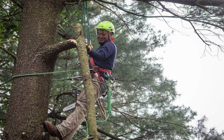 A smiling Riverbend tree climber in a red safety harness hangs from a green rope as he prepares to prune a large, partially broken branch from a large brown trunk against a gray sky.