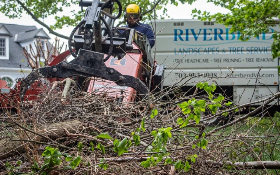 The Riverbend Landscapes & Tree Service ground crew moves branches and debris from a Virginia property during a tree removal.