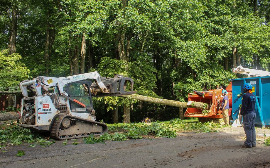 Some of the professional equipment used by the Riverbend team, including a wood chipper and a skid steer, being used during a Virginia tree removal.