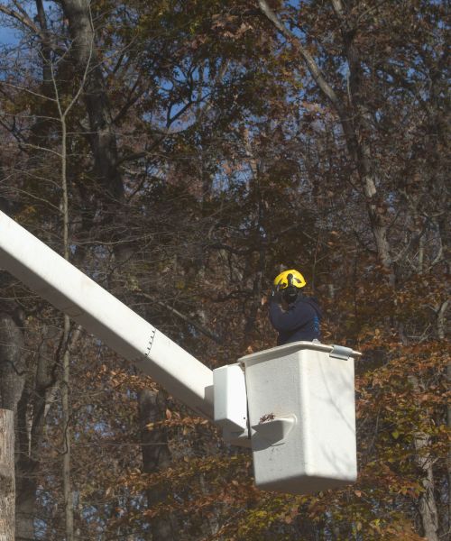 RB-lsp-bethesda-section-large-pruning-bucket