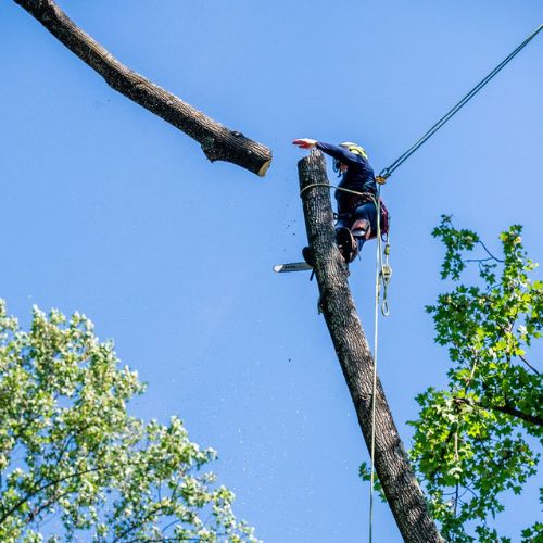 RB-lsp-chantilly-section-removal