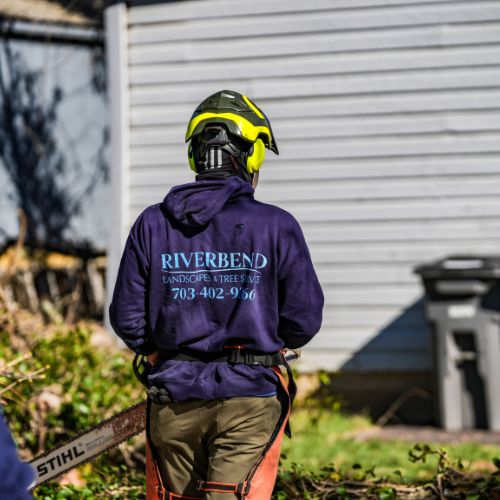 RB-lsp-fairfax-city-section-arborist-chainsaw