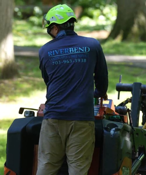 RB-lsp-fairfax-station-section-arborist-back