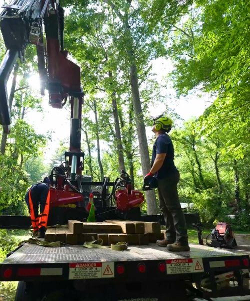 RB-lsp-leesburg-section-man-machine