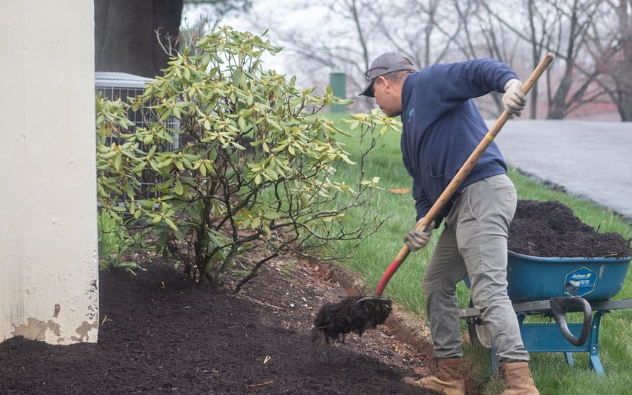 A Riverbend team member shovels mulch around a shrub or young tree