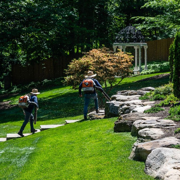 Riverbend Landscapes & Tree Service's crew maintaining a landscape in Northern, VA.
