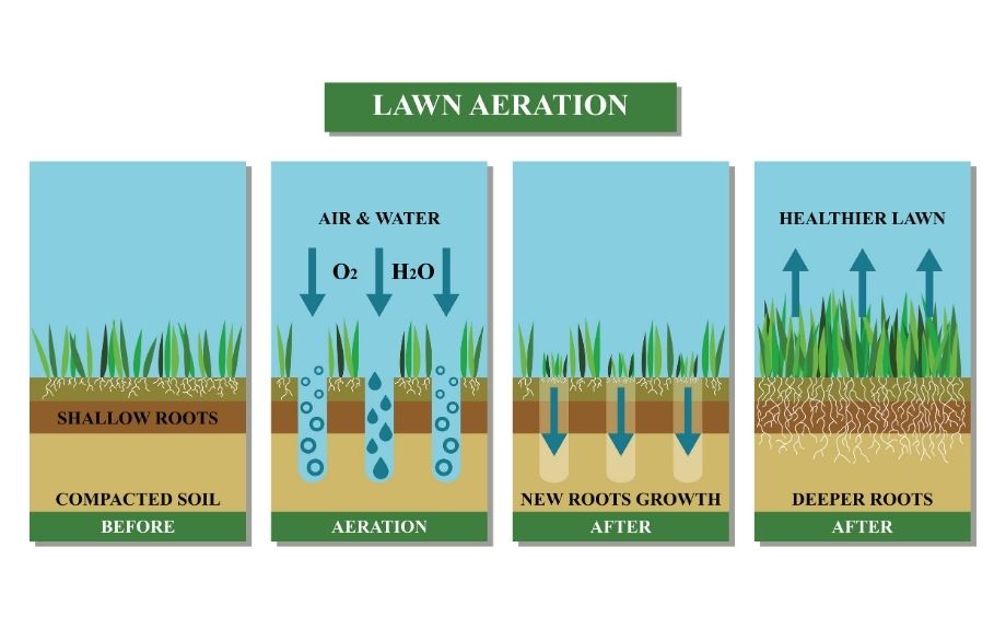 Graphic of how lawn aeration improves your lawn's appearance by allowing air and water into the soil.