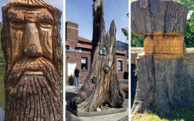 A fallen and removed tree repurposed and sculpted to become furniture design.