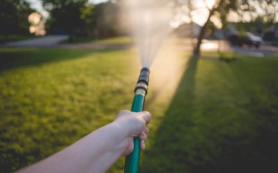 hand holding a hose while watering a lawn in summer in northern Virginia