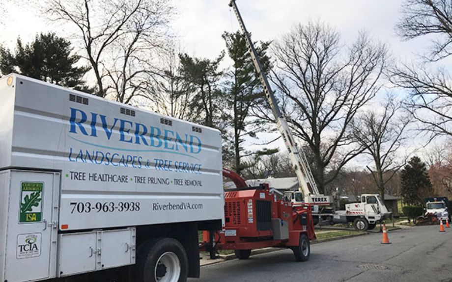 Riverbend equipment and crew prepare for a tree removal during the winter months.