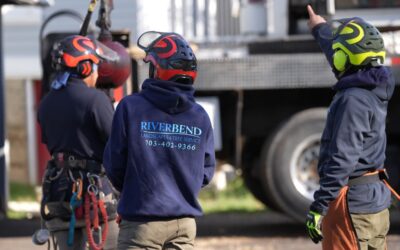 Riverbend Tree Service arborists wearing professional safety helmets and gear, discussing the best way to treat a Northern Virginia tree.