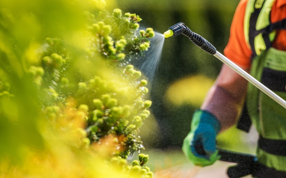 An arborist from Riverbend applying insecticides in a yard in Ar-lington, Virginia.