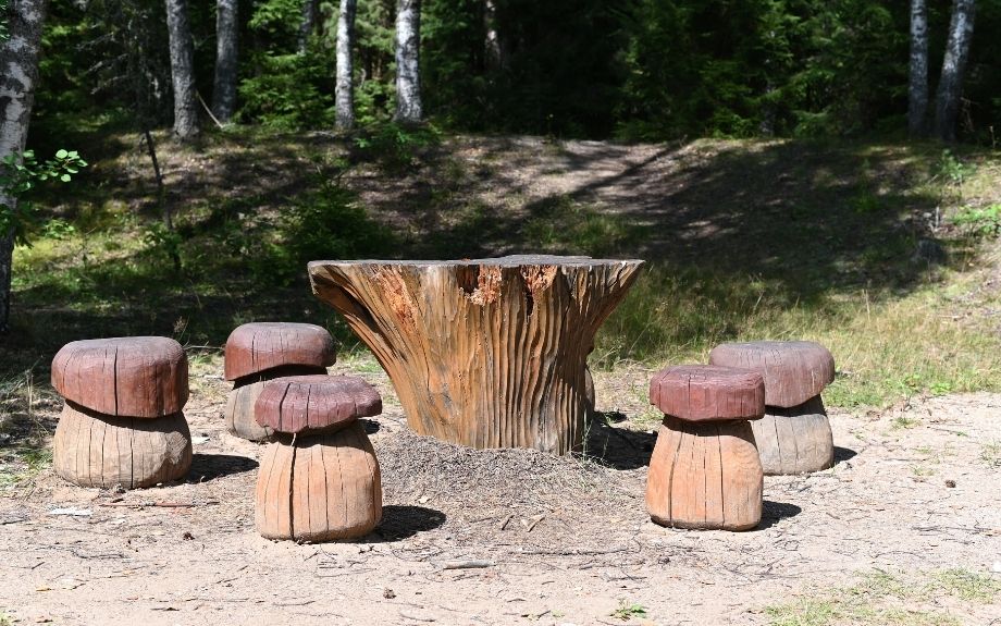 Table and 5 stools carved from a tree that was cut down.