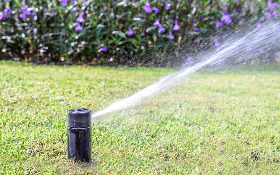 irrigation sprinkler head watering a lawn in summer