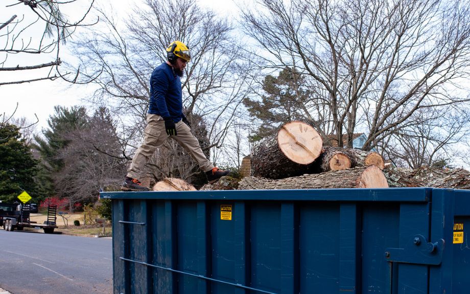 A Riverbend employee adds logs to a truck during a winter tree removal.