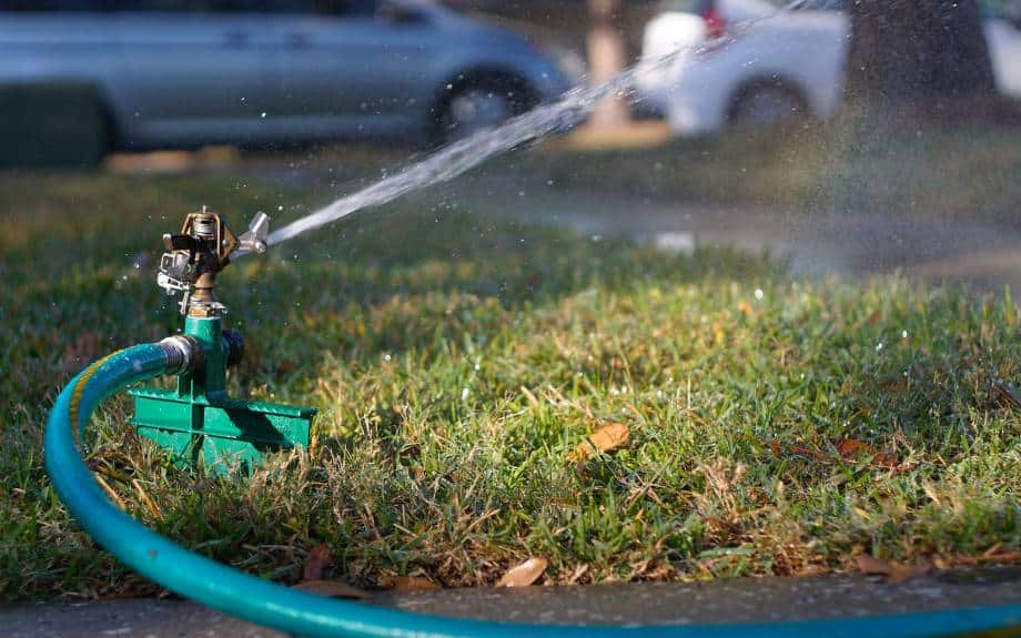 A green hose leads to a lawn sprinkler spraying water over a green lawn.