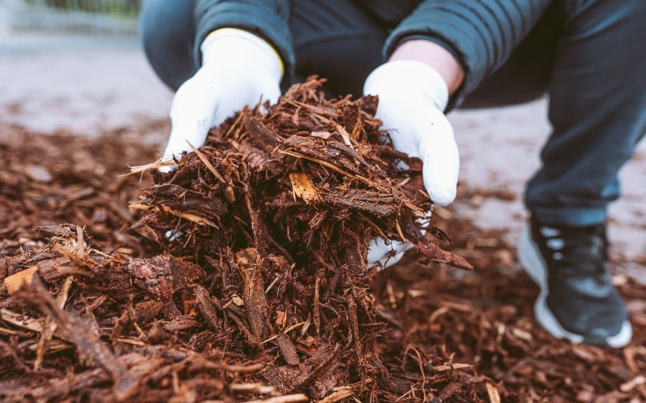 A homeowner sorting through organic mulch in a yard in Fairfax Station, VA.