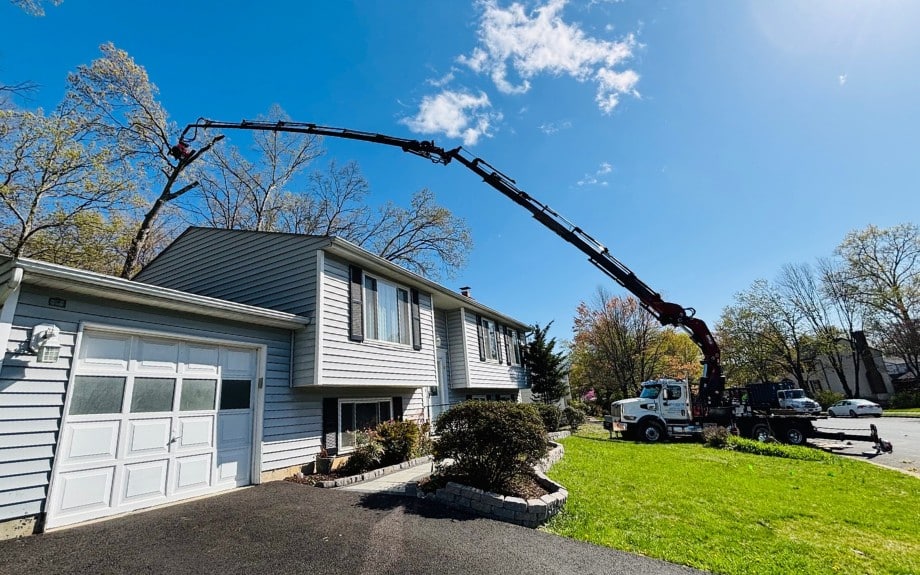 A tree removal crane lowering the base of the tree down into the drop zone as the grounds crew prepares in McLean, VA.