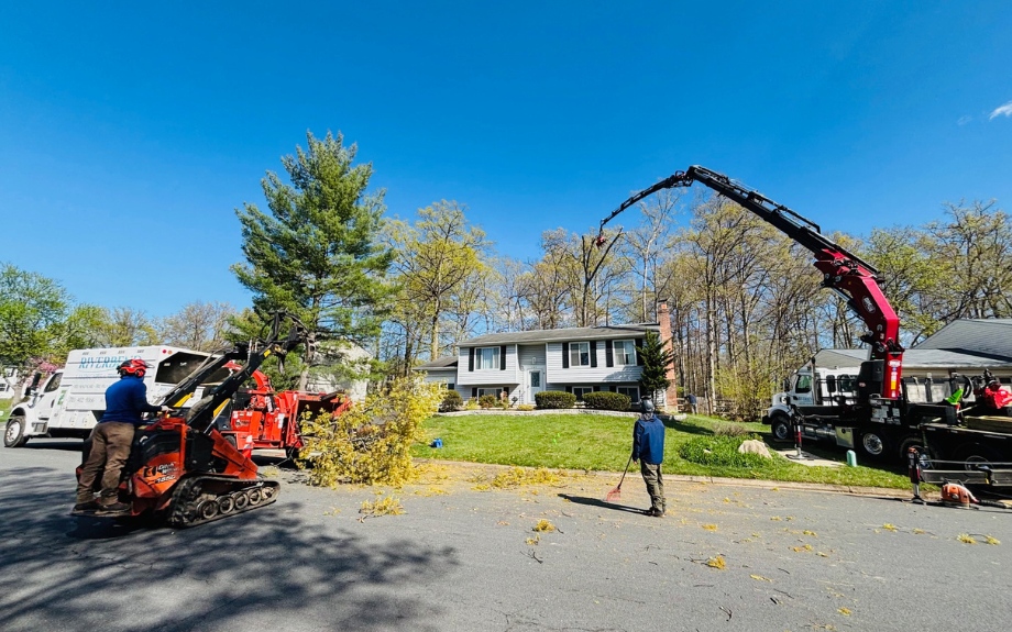 Professional tree removal equipment, including a crane and skid loader, working on a residential property in Northern Virginia.