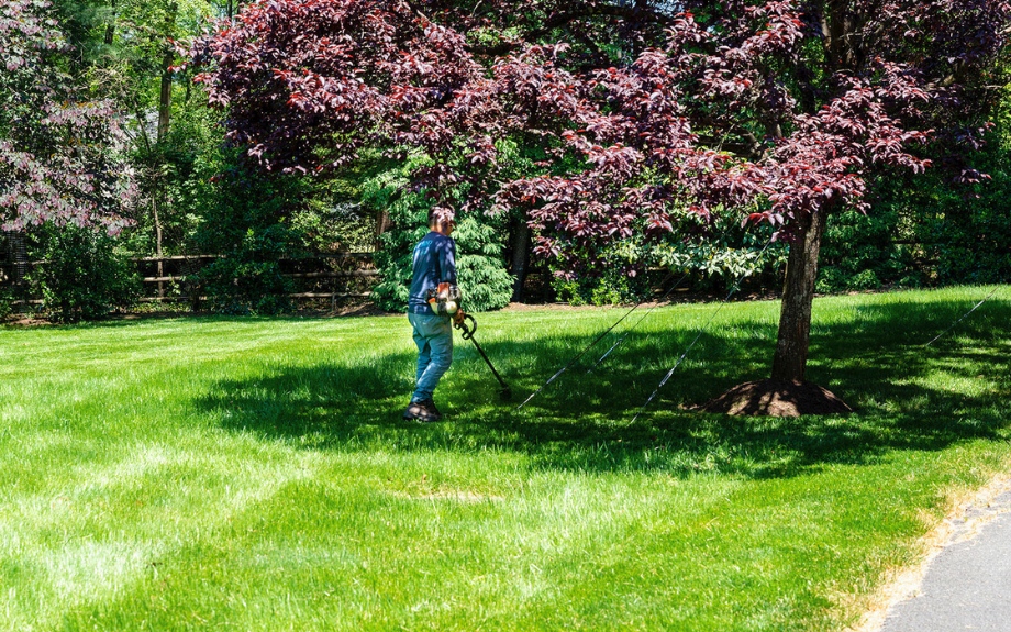 An ISA Certified Arborist from Riverbend performing specialized root zone treatment with professional plant health care equipment in Northern Virginia.