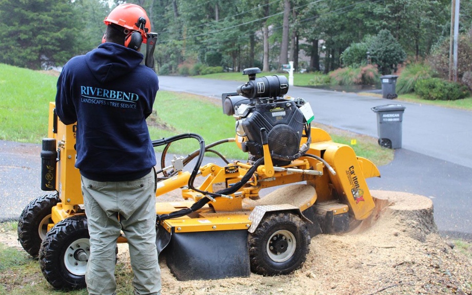 A Riverbend technician wearing a safety helmet and hearing protection operates a yellow stump grinder while fresh wood chips spray out from the grinding process on a residential driveway.
