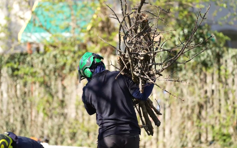 A Riverbend ground crew member wearing protective gear and carrying pruned branches and debris from a tree service job.
