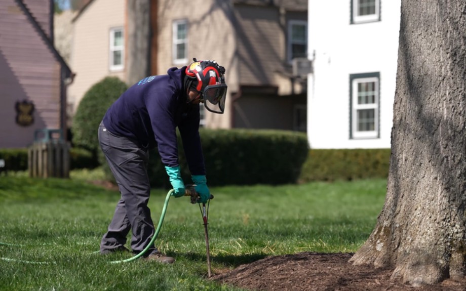 A plant health care technician performing trunk injection treatment on a mature tree in a residential yard.