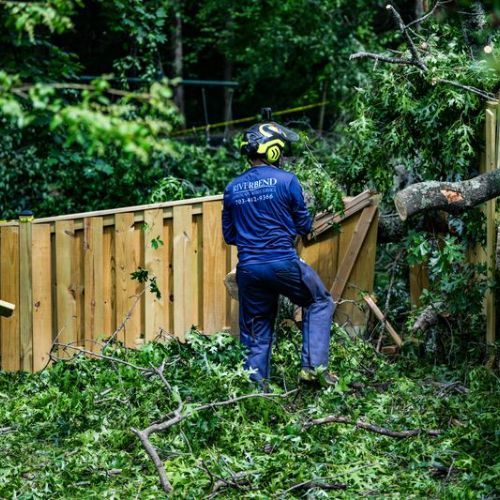 Riverbend-chantilly-Website-rb-crew-removal-blue