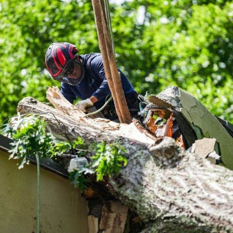 Riverbend-emergency-section-fallen-tree-crane