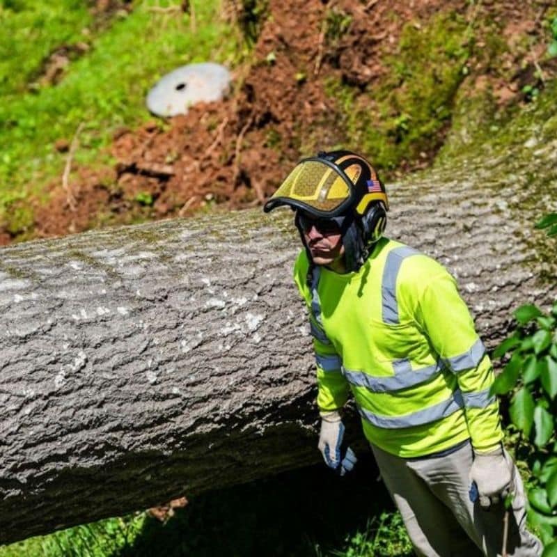 Riverbend-emergency-section-fallen-tree