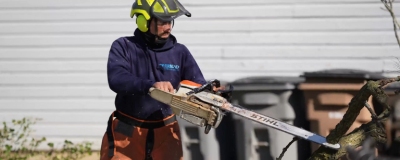 Website-Home-section-image-tree-removal (1)