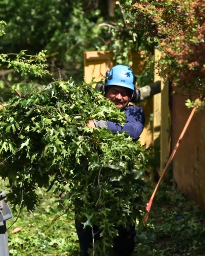 Website-Pruning-section-hazardous-pruning