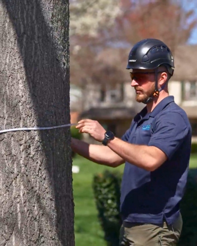 Website-Tree-Health-section-insect-disease
