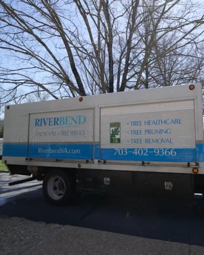 Website-Tree-Health-section-phc-truck-tree