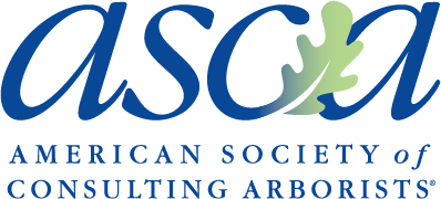 asca logo