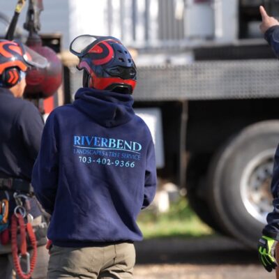 Riverbend Tree Service arborists wearing professional safety helmets and gear, discussing the best way to treat a Northern Virginia tree.