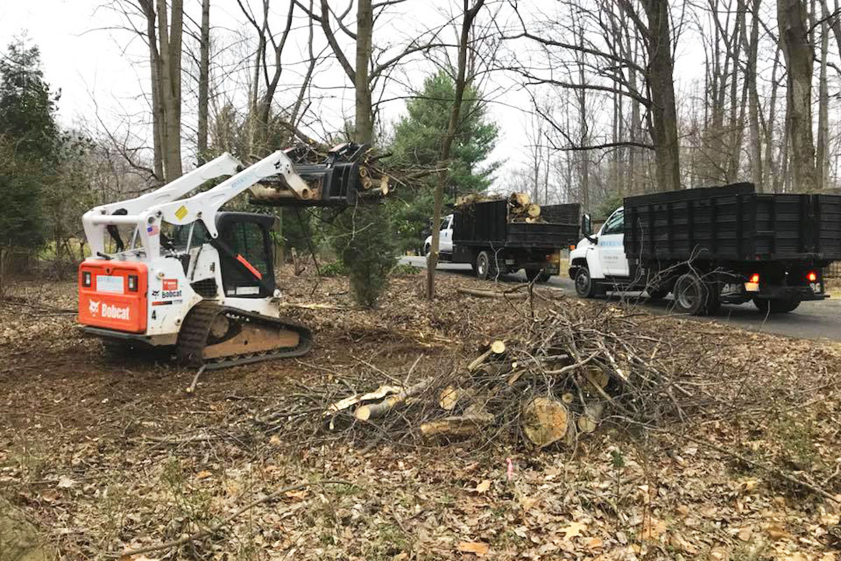 land-clearing2